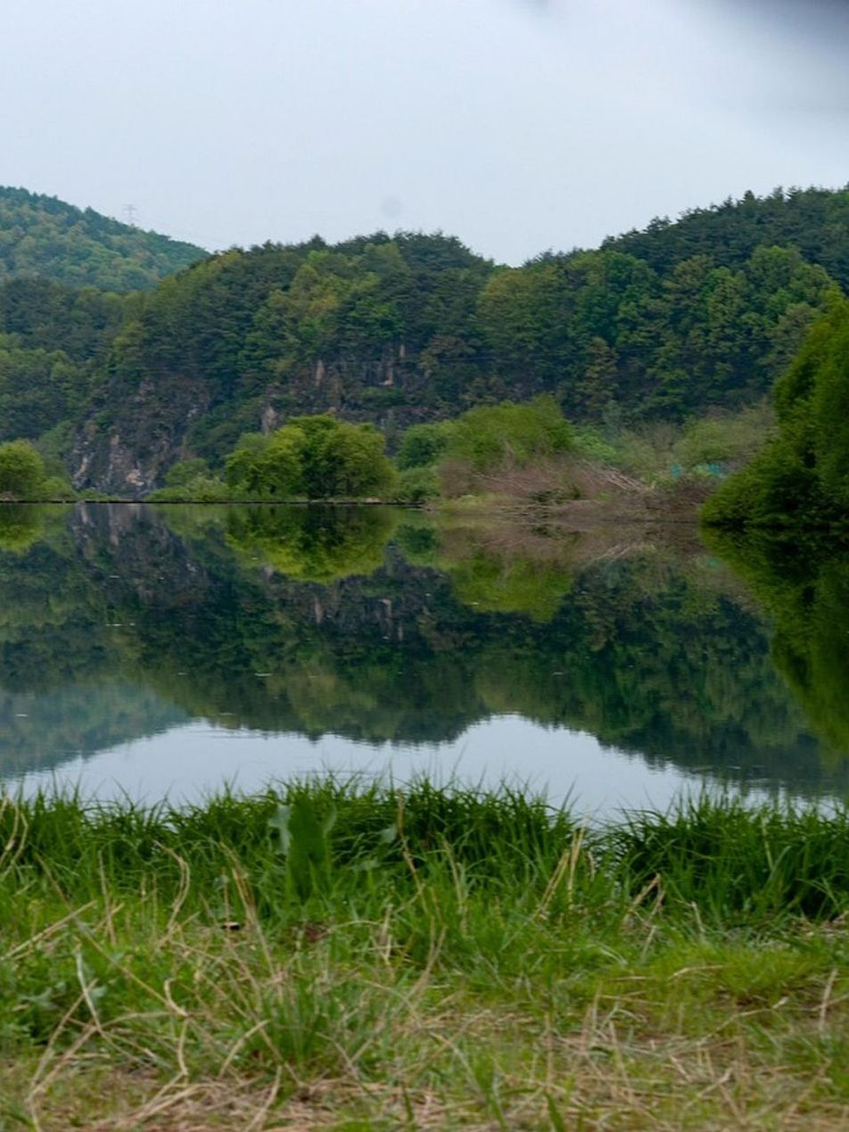 Trucha arcoíris capturada