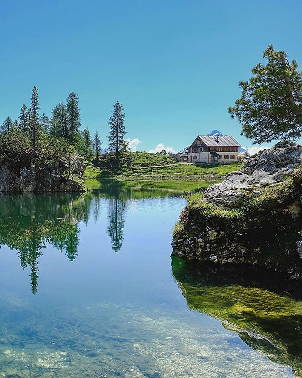Los primeros días en el lago